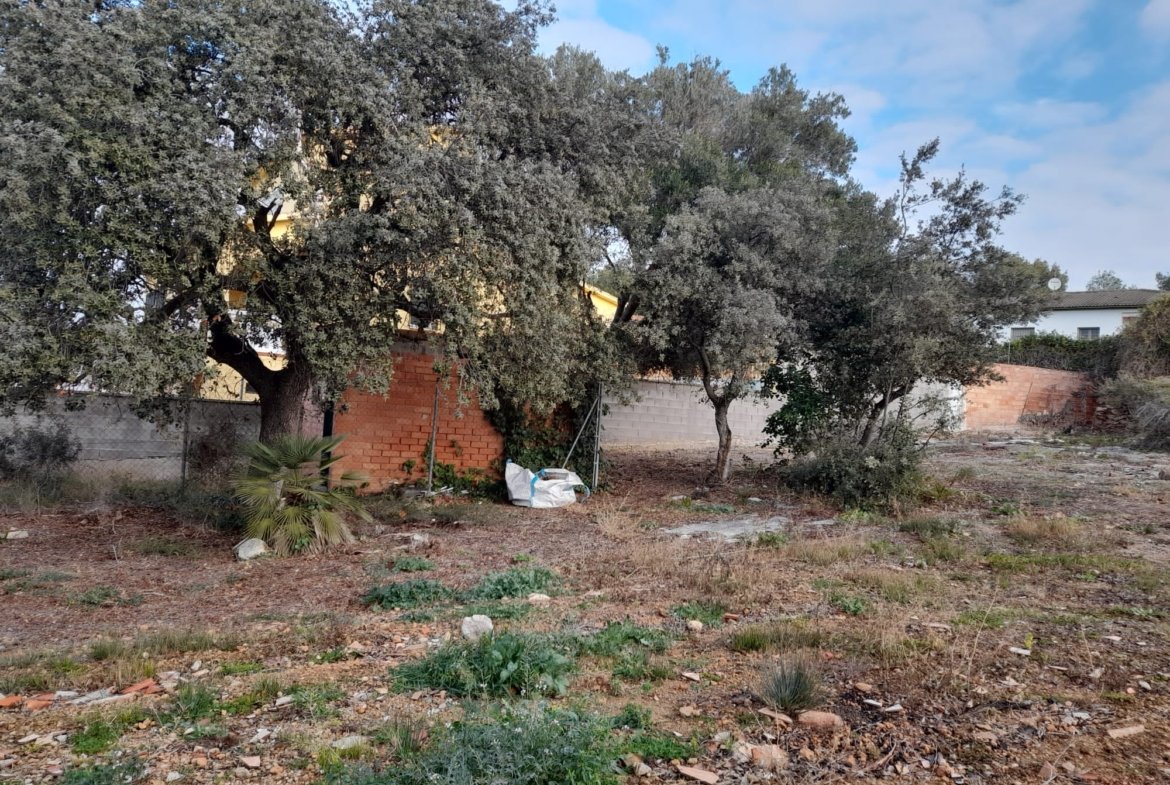 Ref. 236 solar en Castellet i La Gornal.
