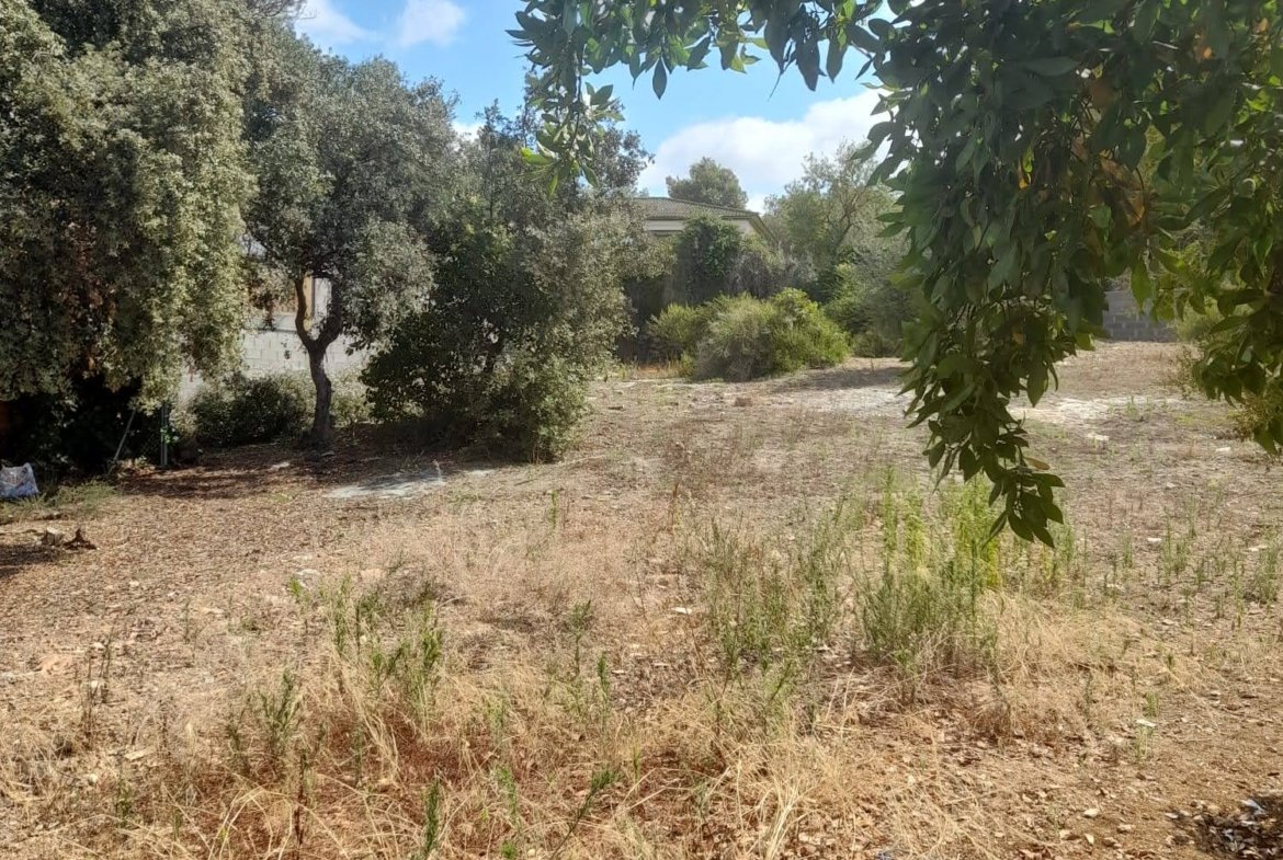 Ref. 236 solar en Castellet i La Gornal.