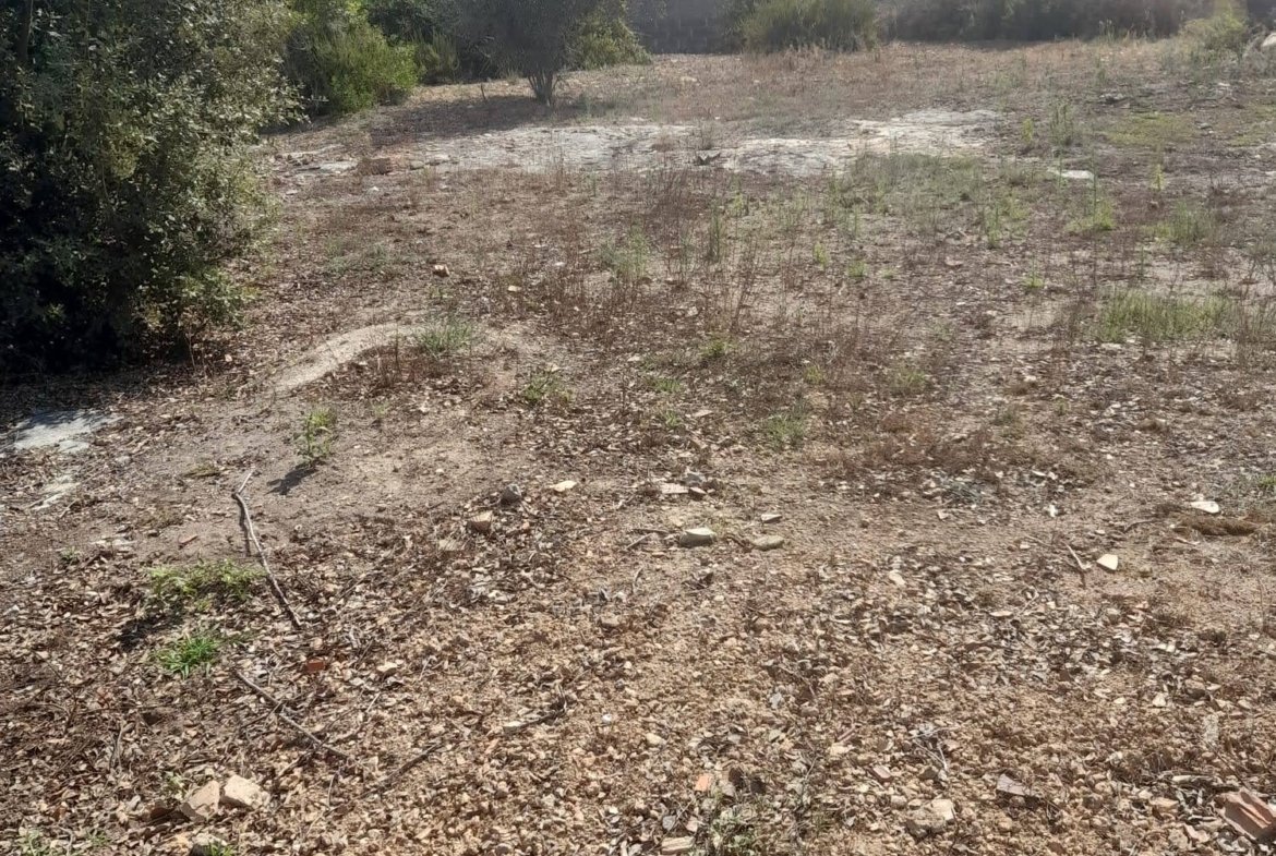 Ref. 236 solar en Castellet i La Gornal.