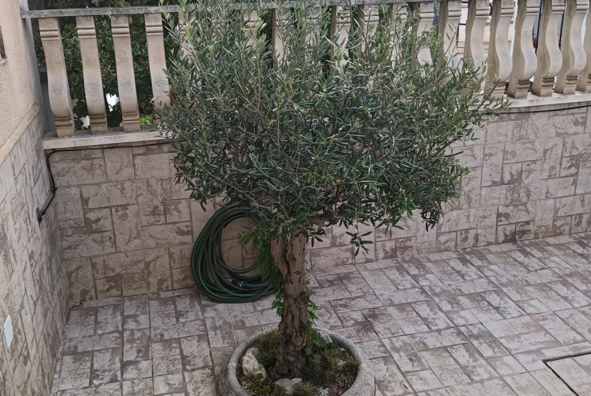 Ref. 271 Casa pareada en Cubelles.