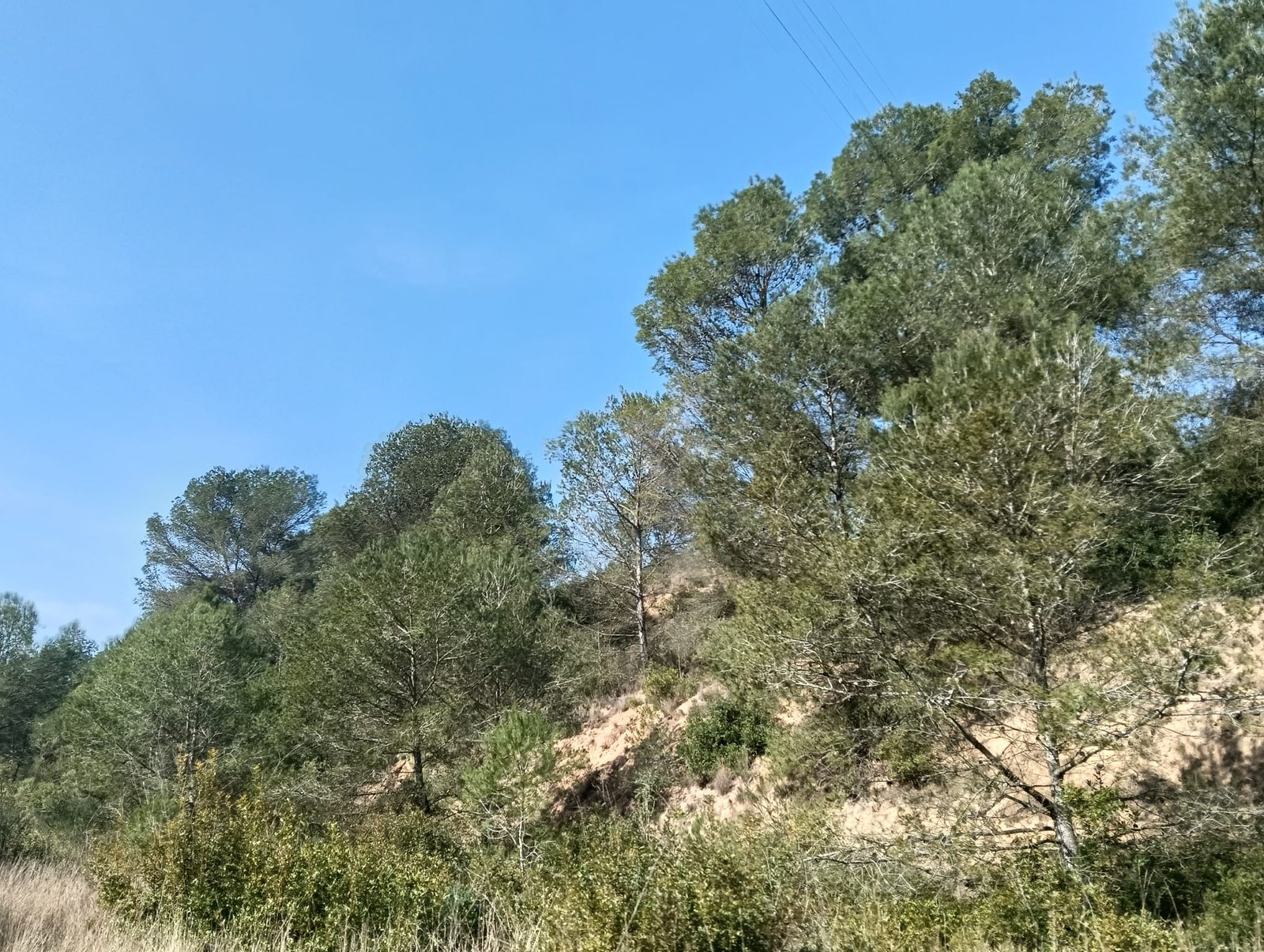 1772105240338 Ref. 284 Terreno en zona Costa Cunit.