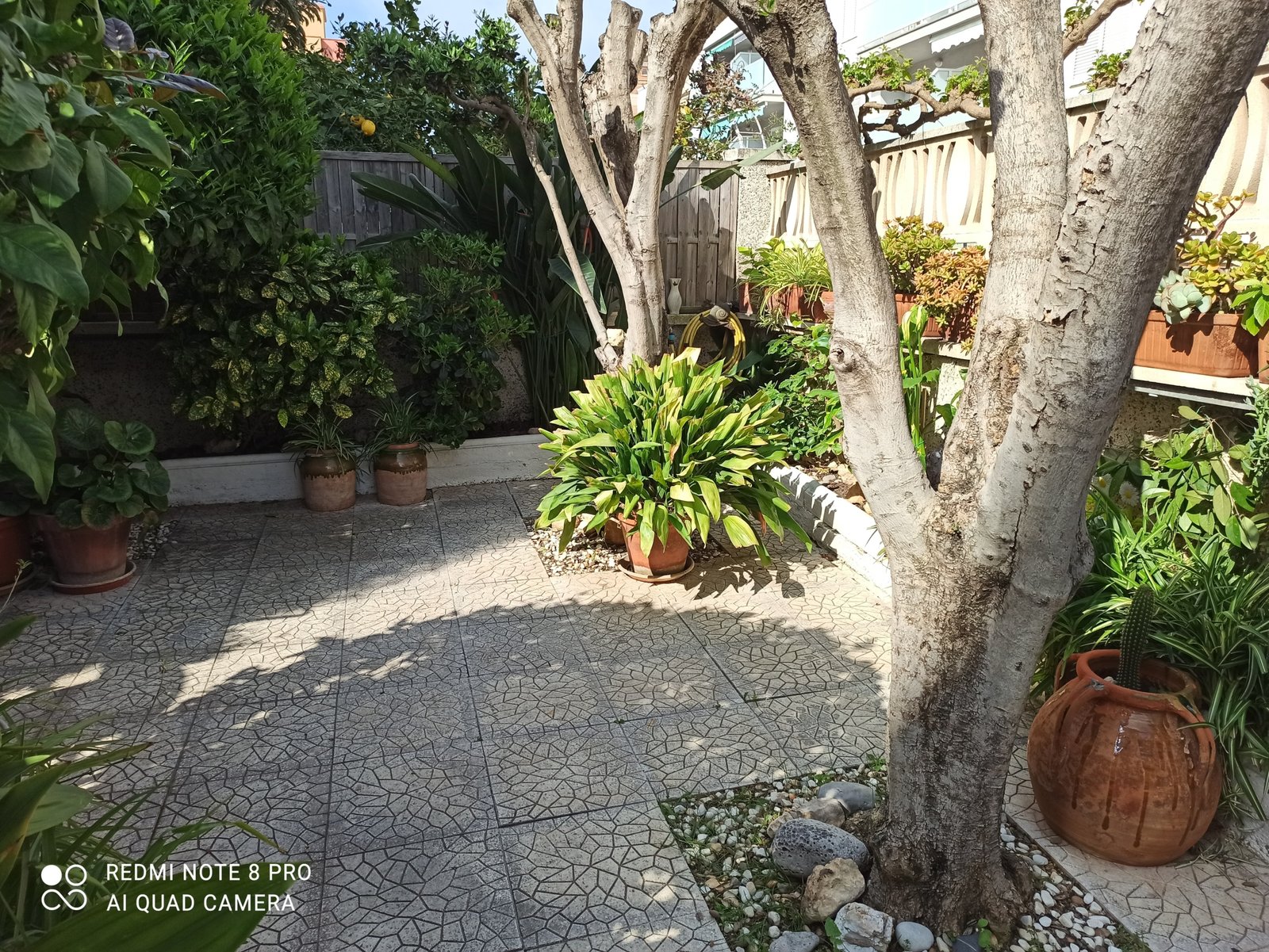 1743847833327 Ref. 3293 Planta baja en Cunit.