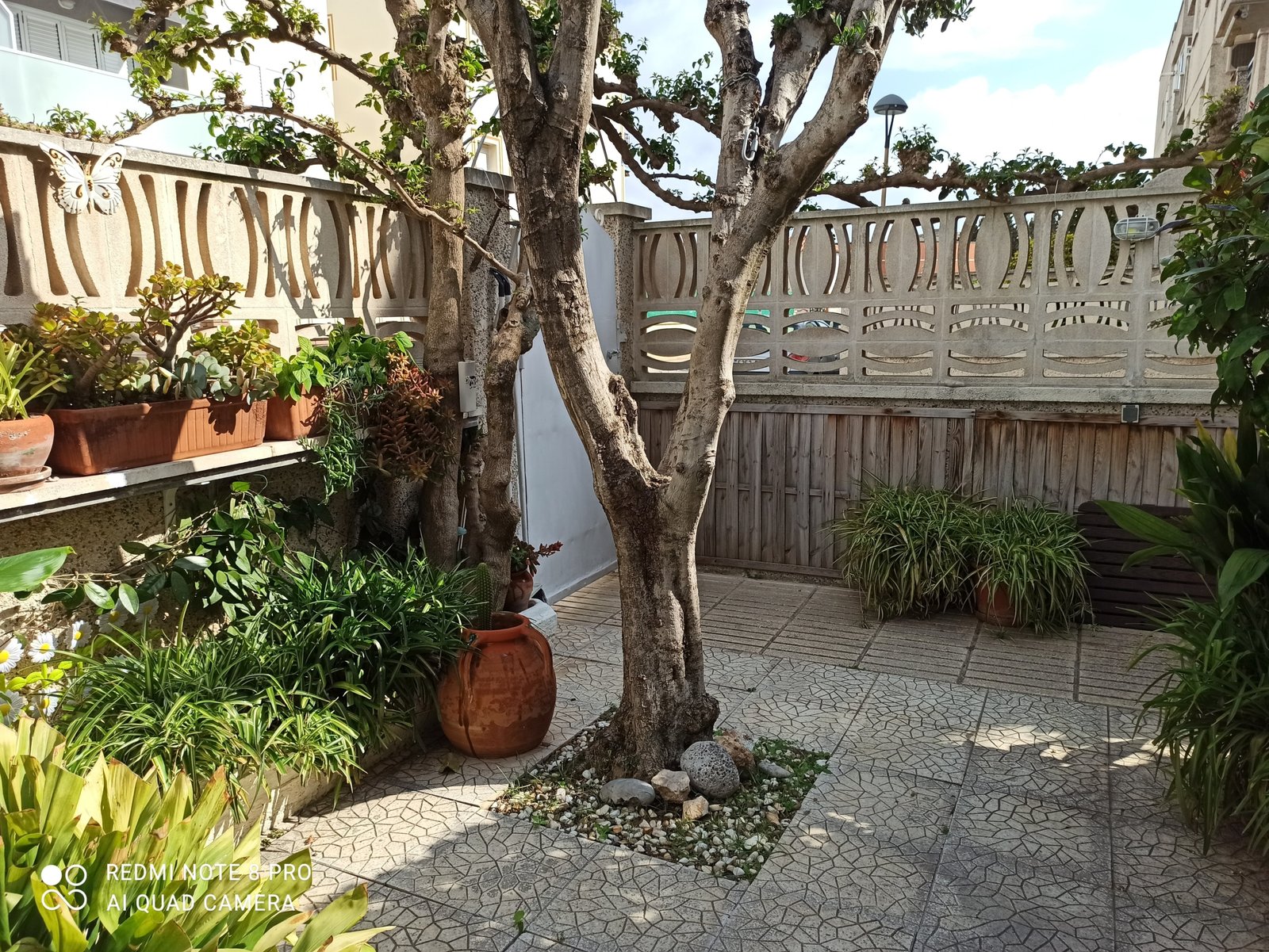 1743847833332 Ref. 3293 Planta baja en Cunit.