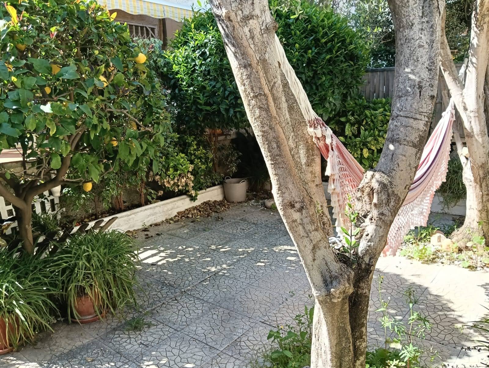 1775556073224 Ref. 3293 Planta baja en Cunit.