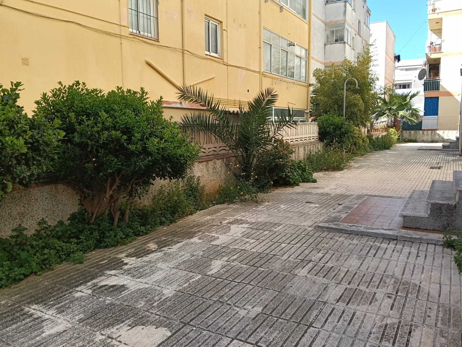1775556073230 Ref. 3293 Planta baja en Cunit.