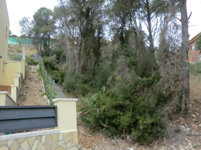 Terreno en Mas Trader 2
