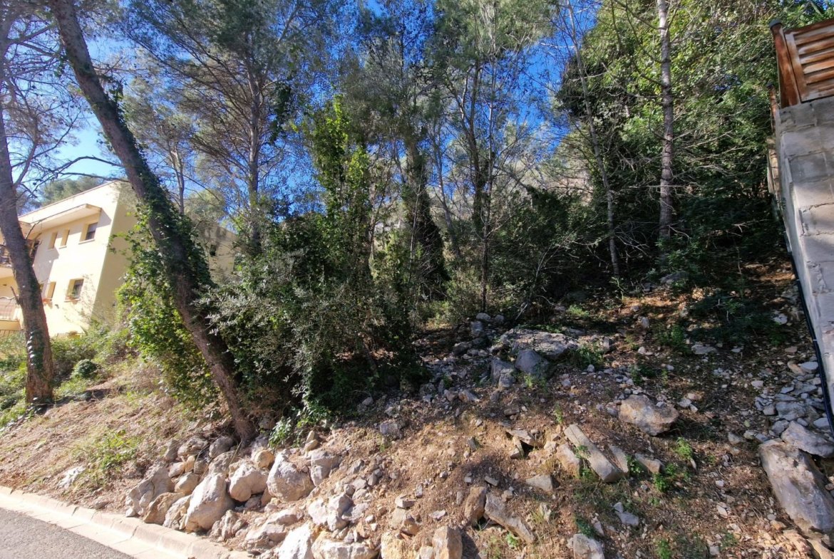 Terreno en Mas Trader 2