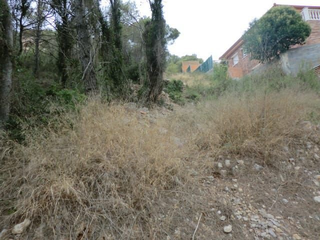 Terreno en Mas Trader 2