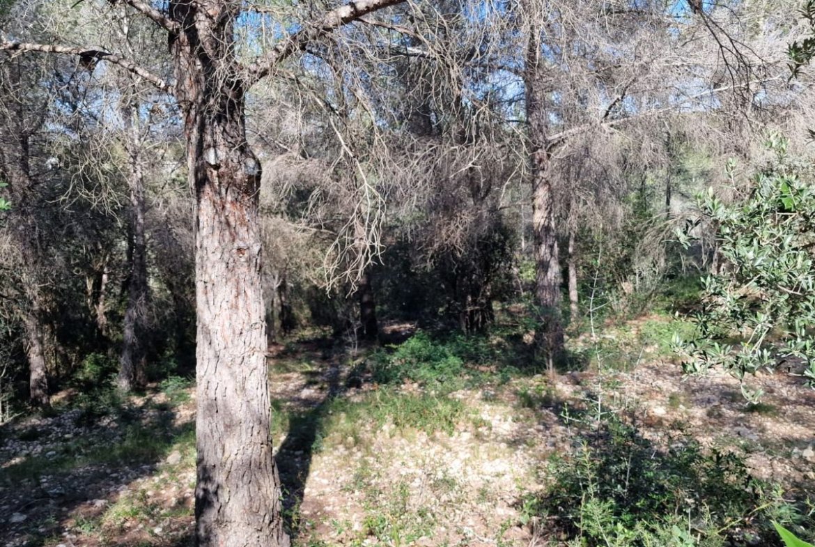 Terreno en Valldemar, Calafell