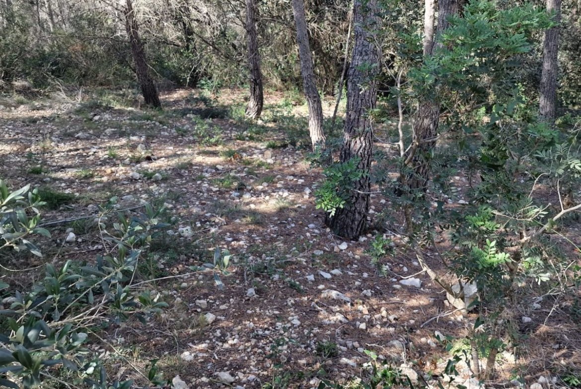 Terreno en Valldemar, Calafell
