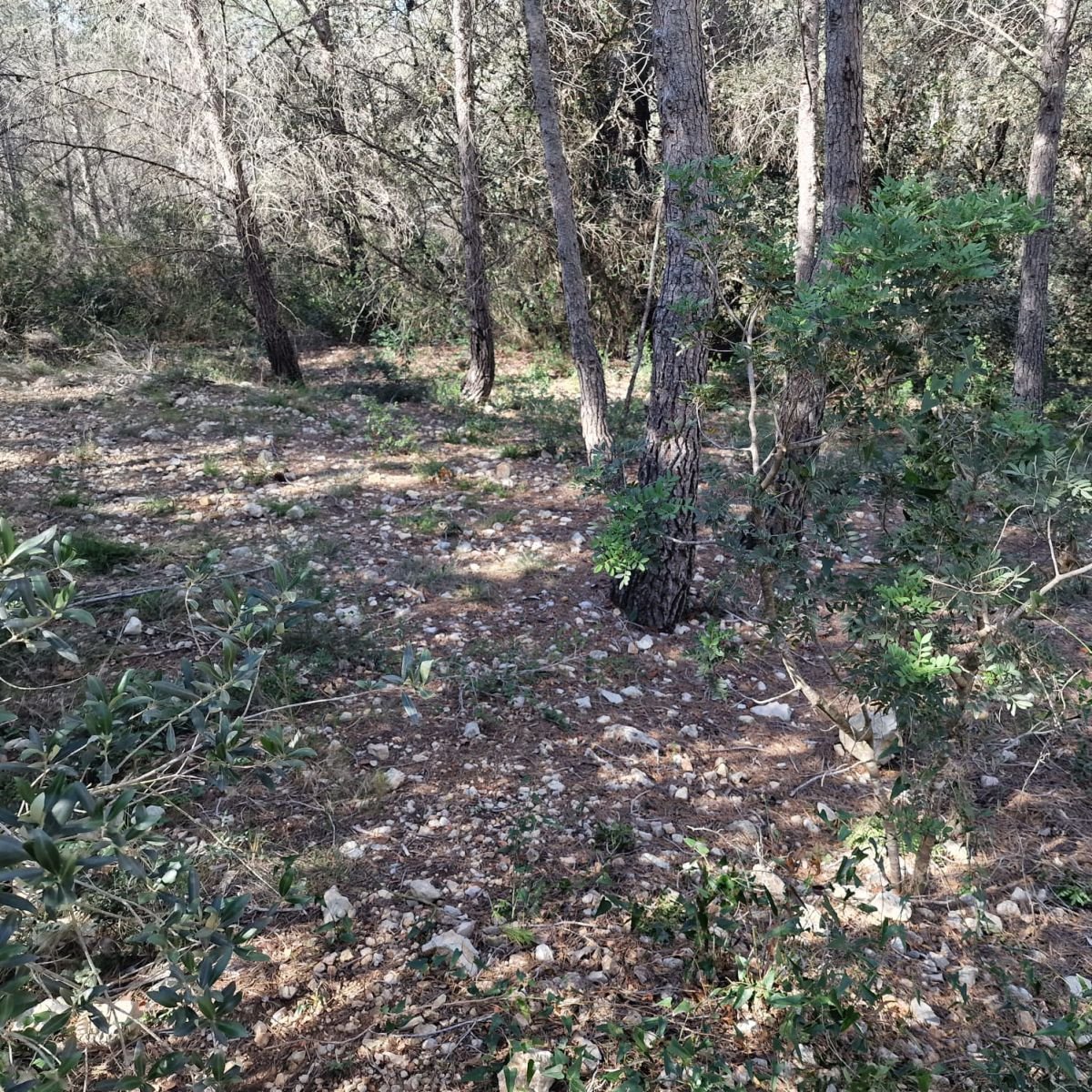 979741348_14 Terreno en Valldemar, Calafell