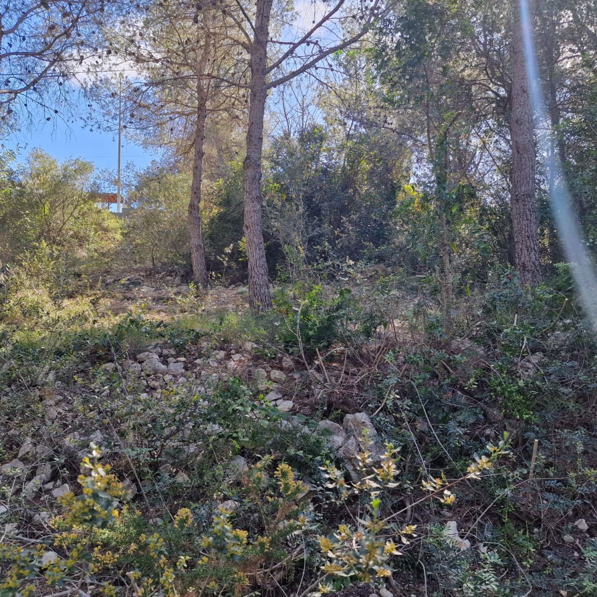 979741348_16 Terreno en Valldemar, Calafell