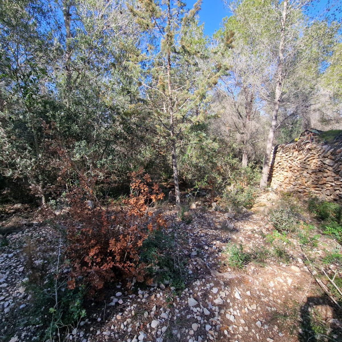 979741348_19 Terreno en Valldemar, Calafell