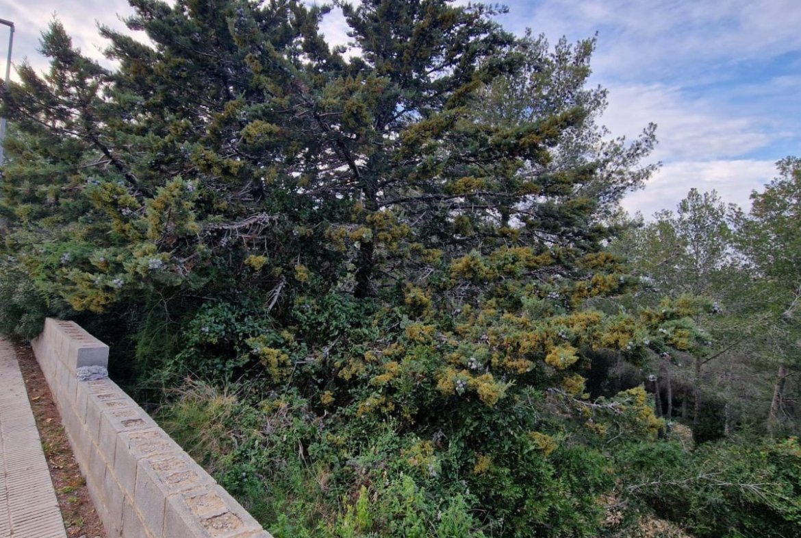 Terreno en Valldemar, Calafell