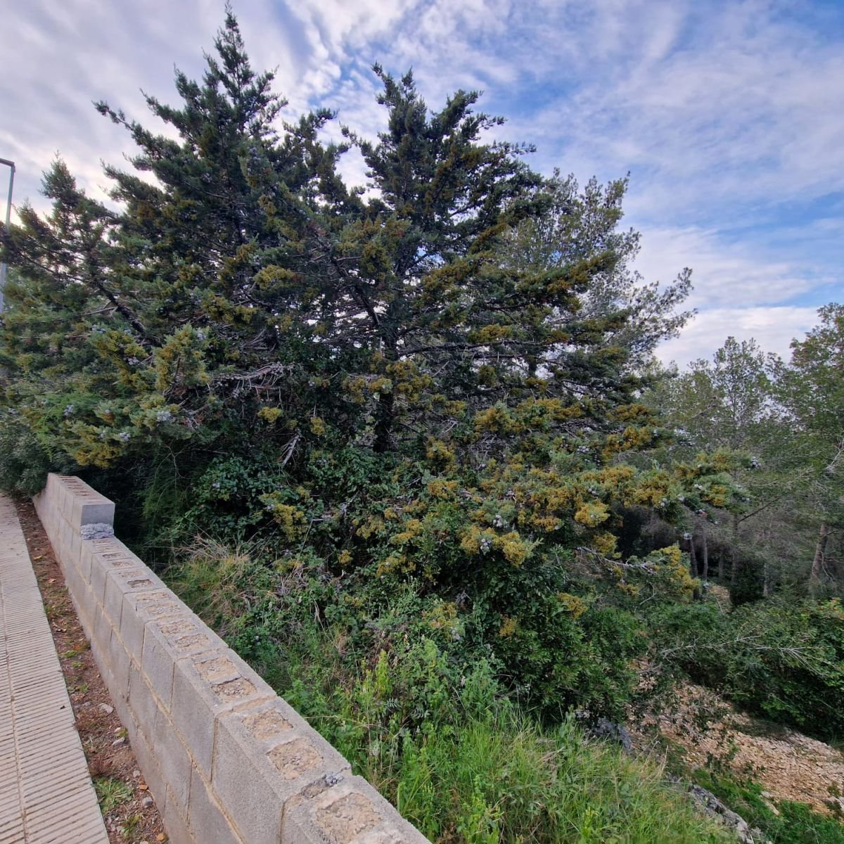 979741348_2 Terreno en Valldemar, Calafell