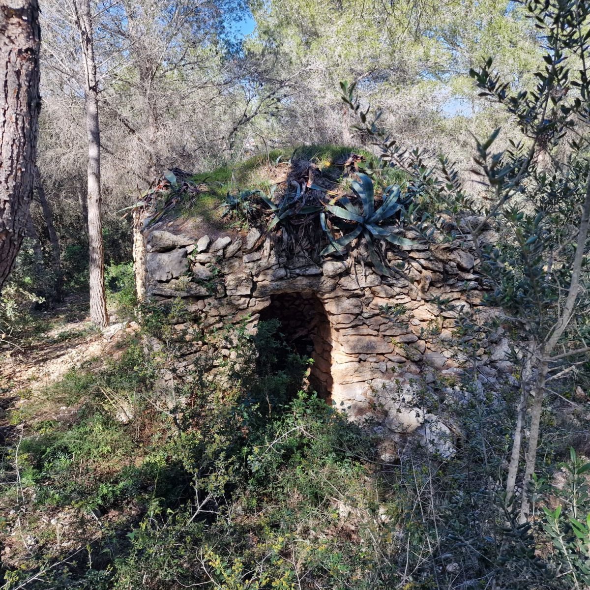 979741348_20 Terreno en Valldemar, Calafell