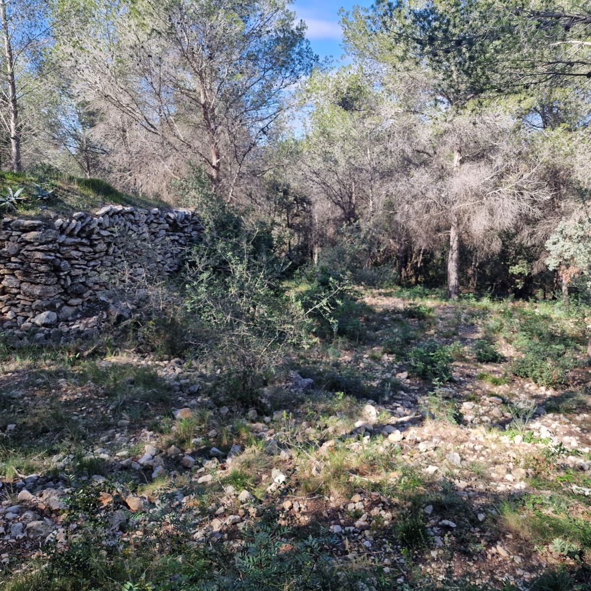 979741348_23 Terreno en Valldemar, Calafell