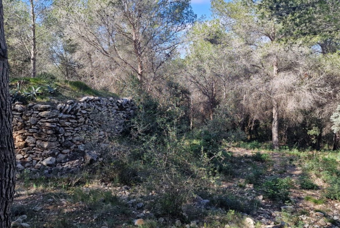 Terreno en Valldemar, Calafell