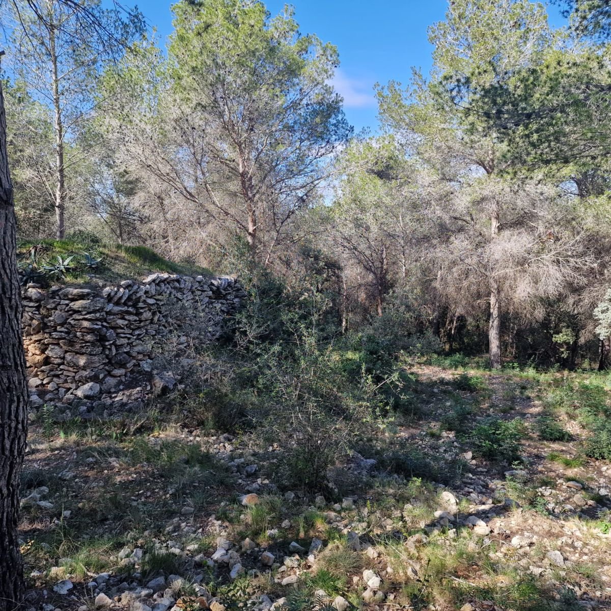 979741348_24 Terreno en Valldemar, Calafell