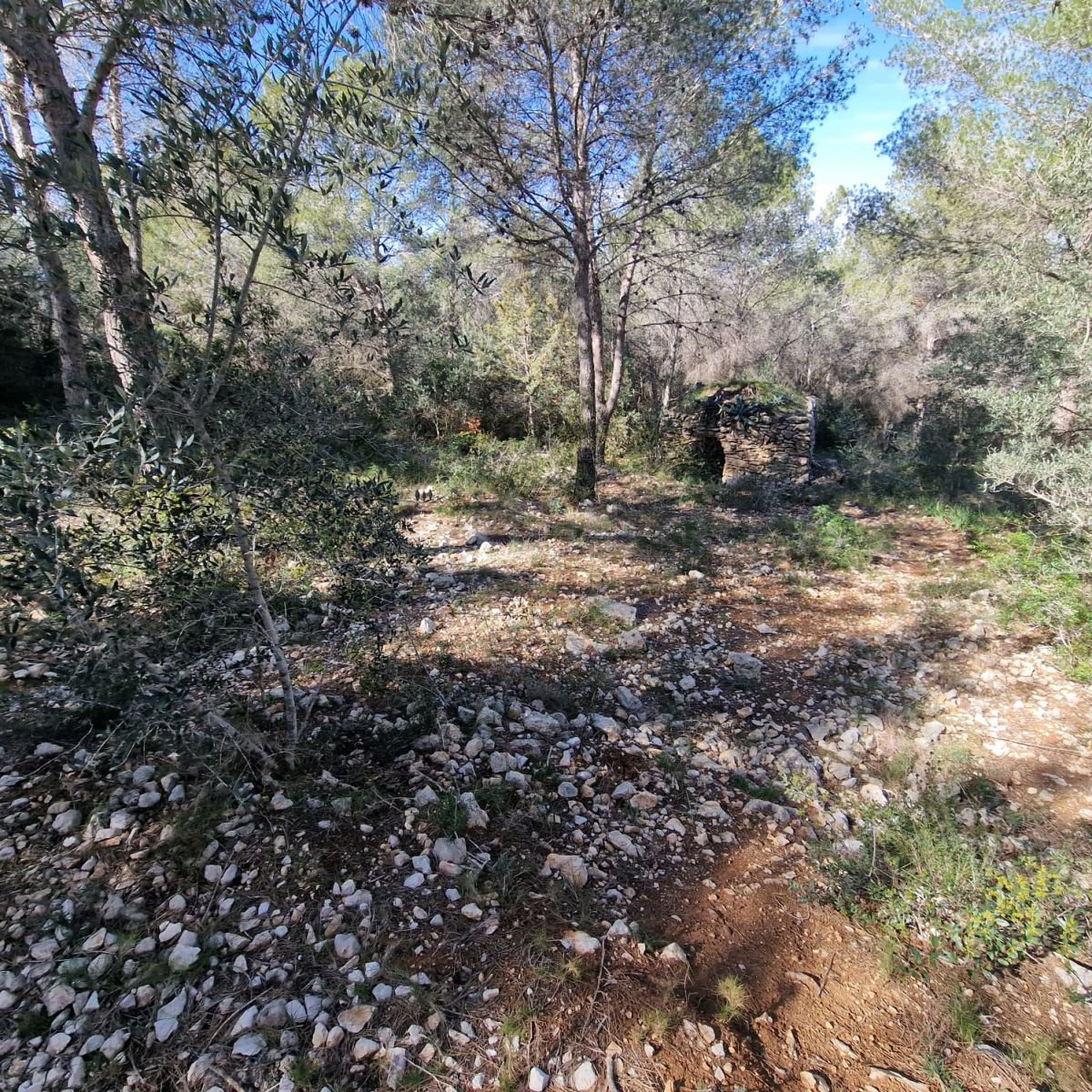 979741348_27 Terreno en Valldemar, Calafell