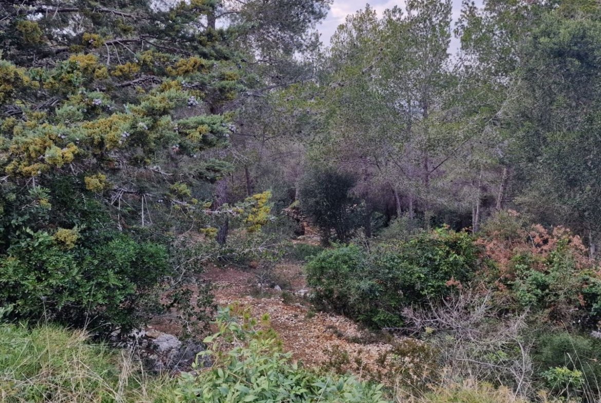 Terreno en Valldemar, Calafell