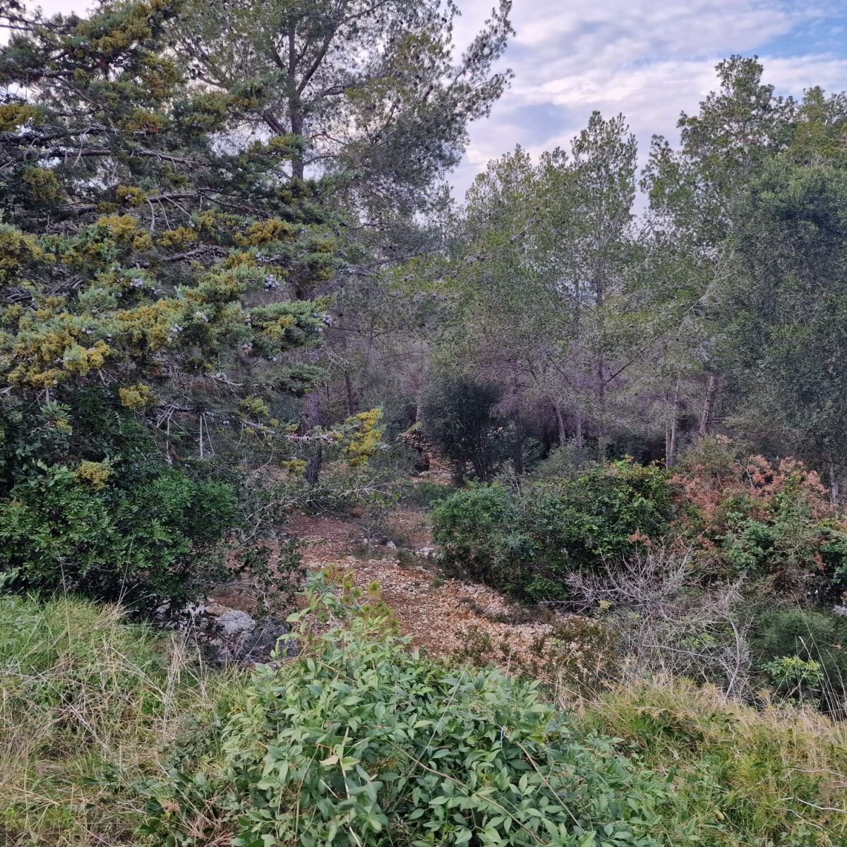 979741348_3 Terreno en Valldemar, Calafell