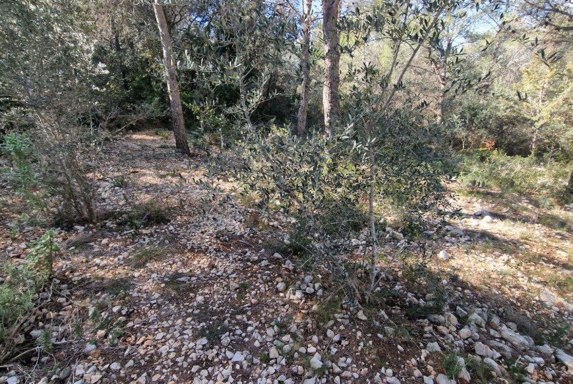 Terreno en Valldemar, Calafell
