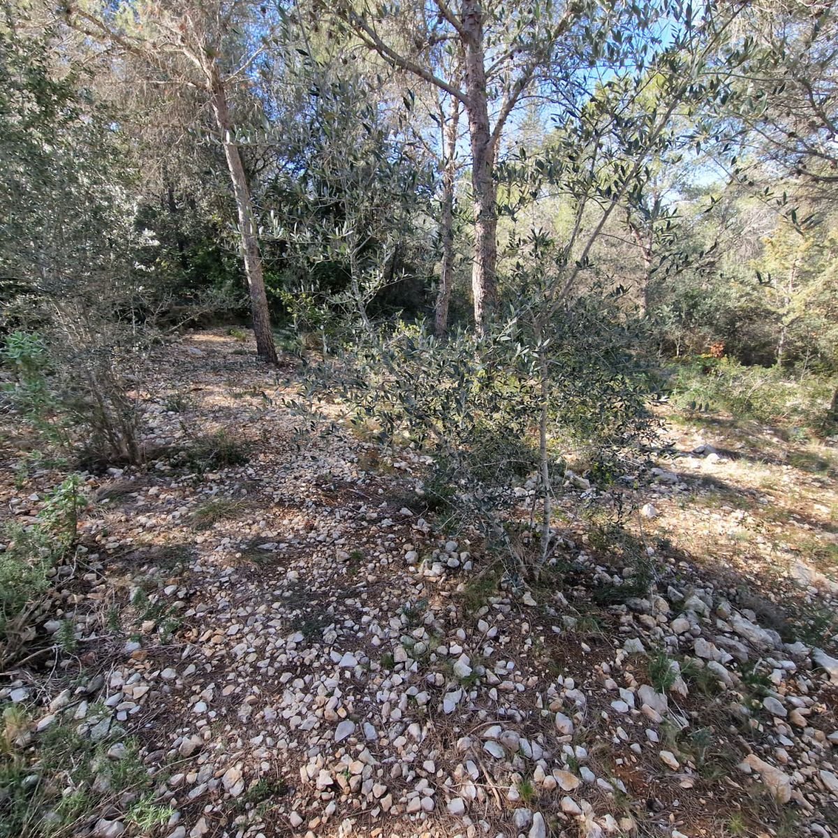 979741348_31 Terreno en Valldemar, Calafell