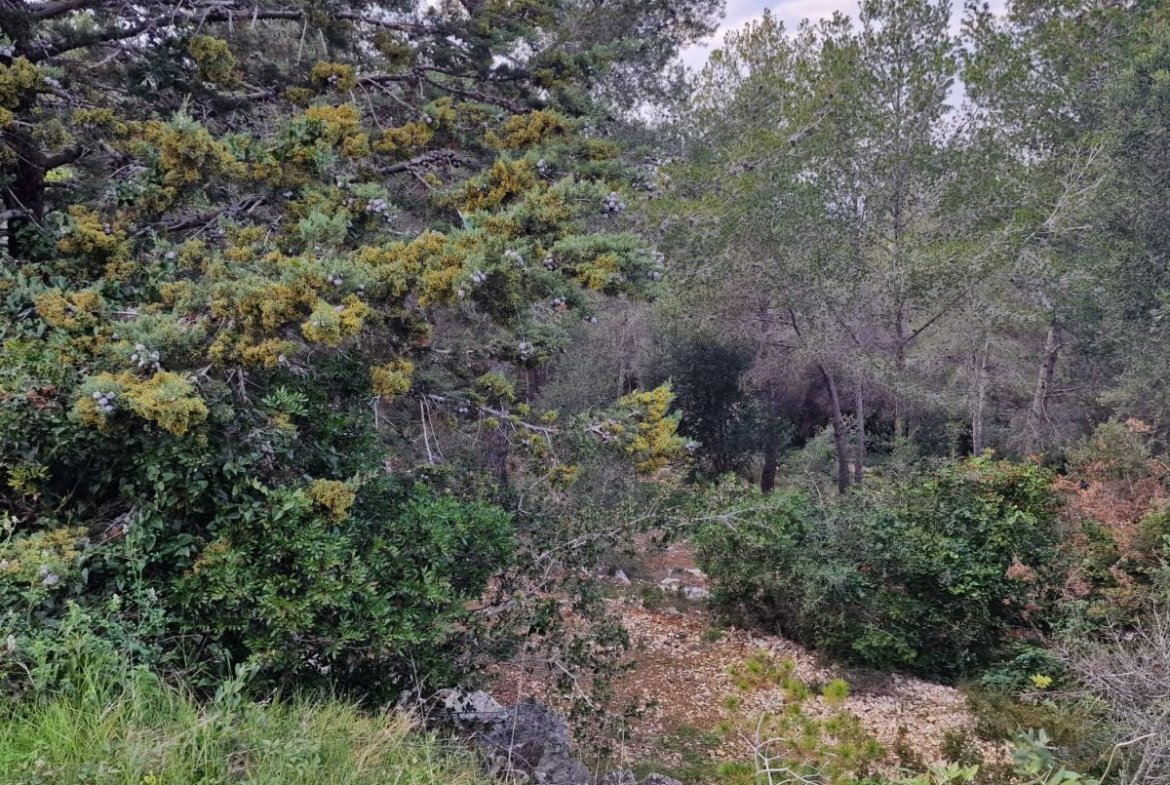 Terreno en Valldemar, Calafell