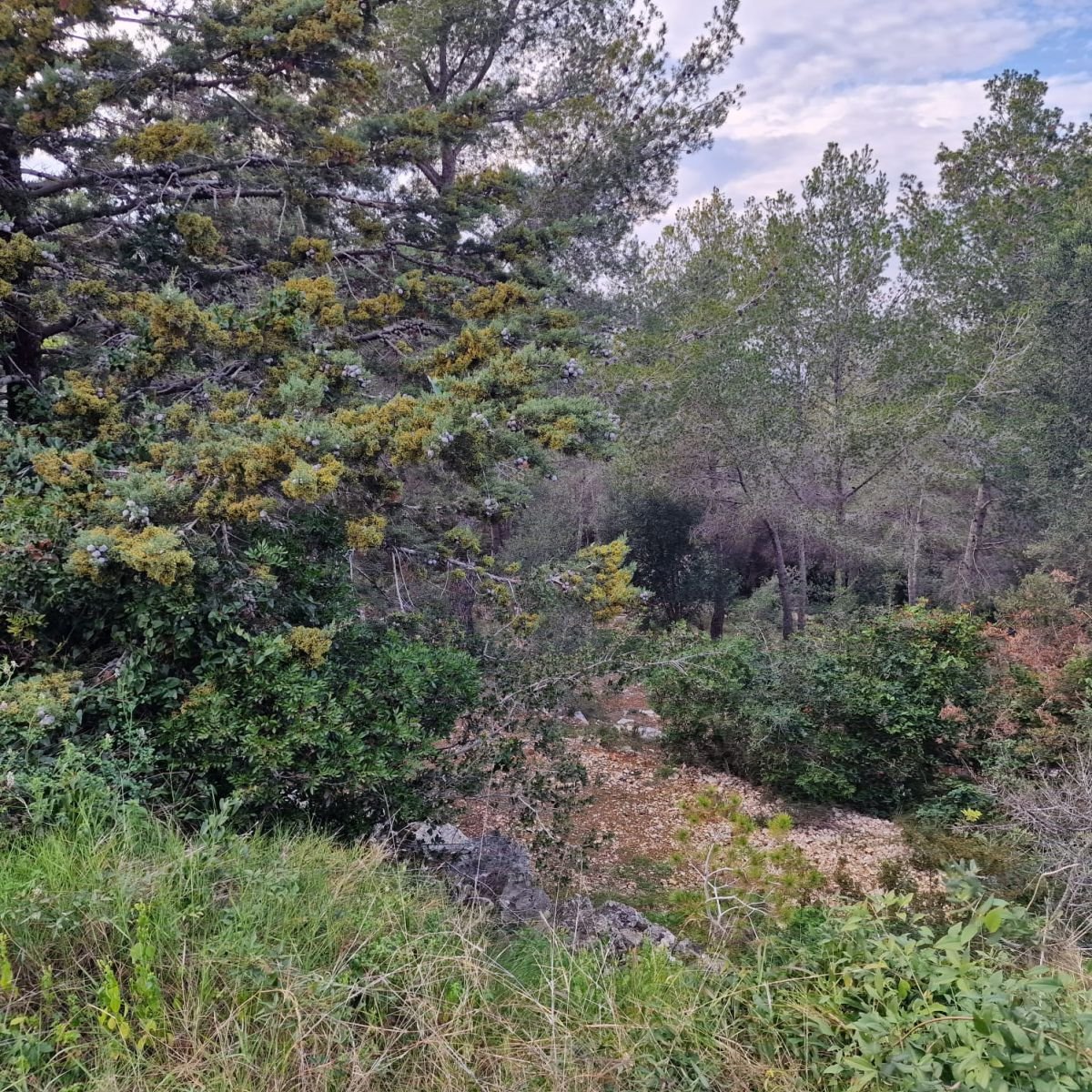 979741348_4 Terreno en Valldemar, Calafell