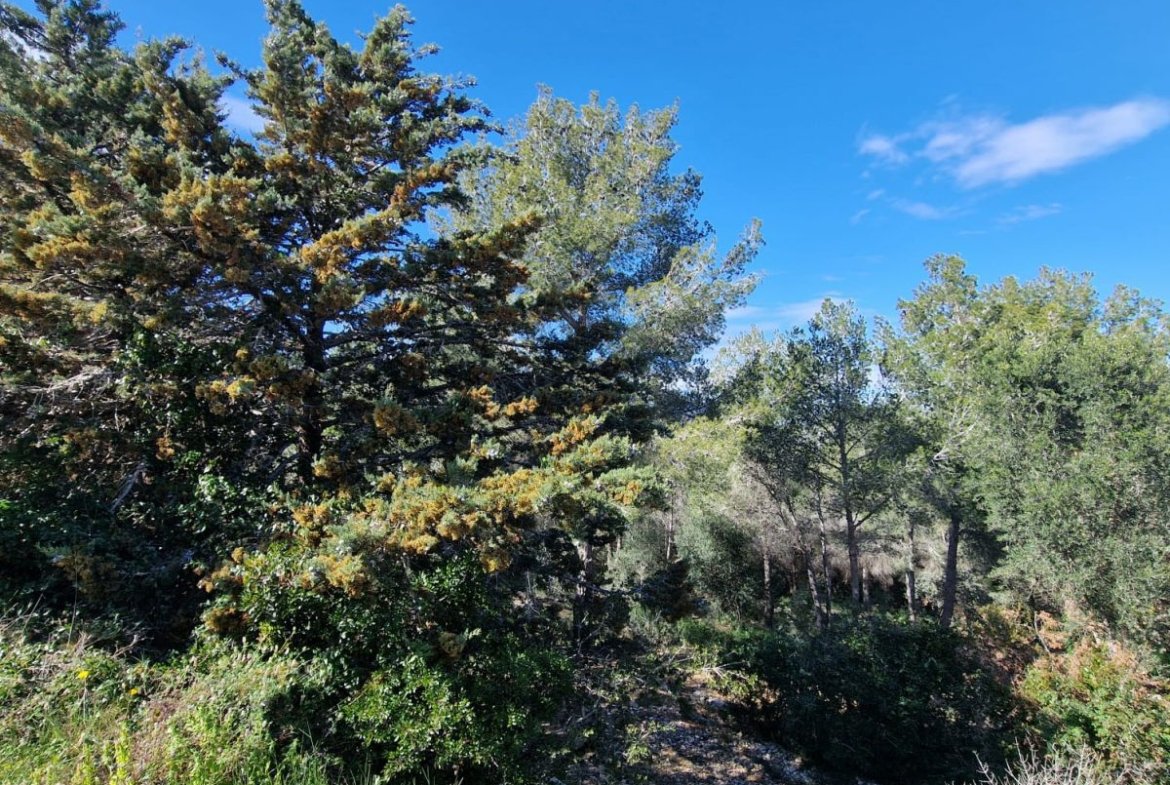 Terreno en Valldemar, Calafell