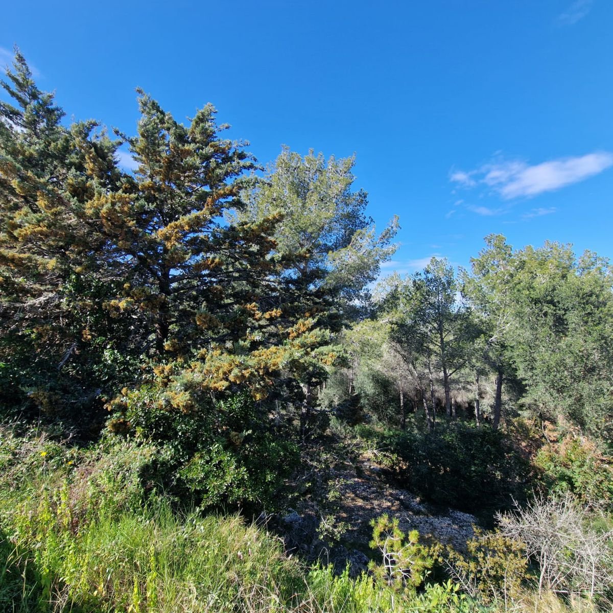 979741348_8 Terreno en Valldemar, Calafell