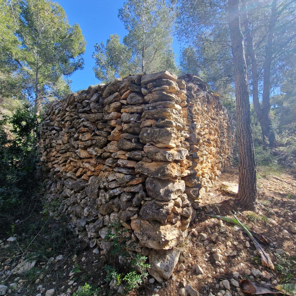 979741348_9 Terreno en Valldemar, Calafell