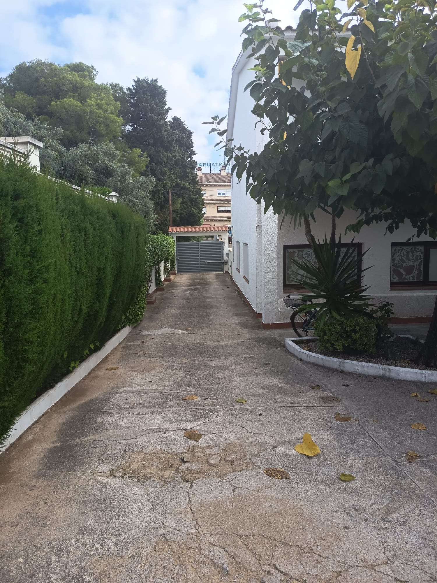 Ref. 1008 Planta baja en Comarruga centro.