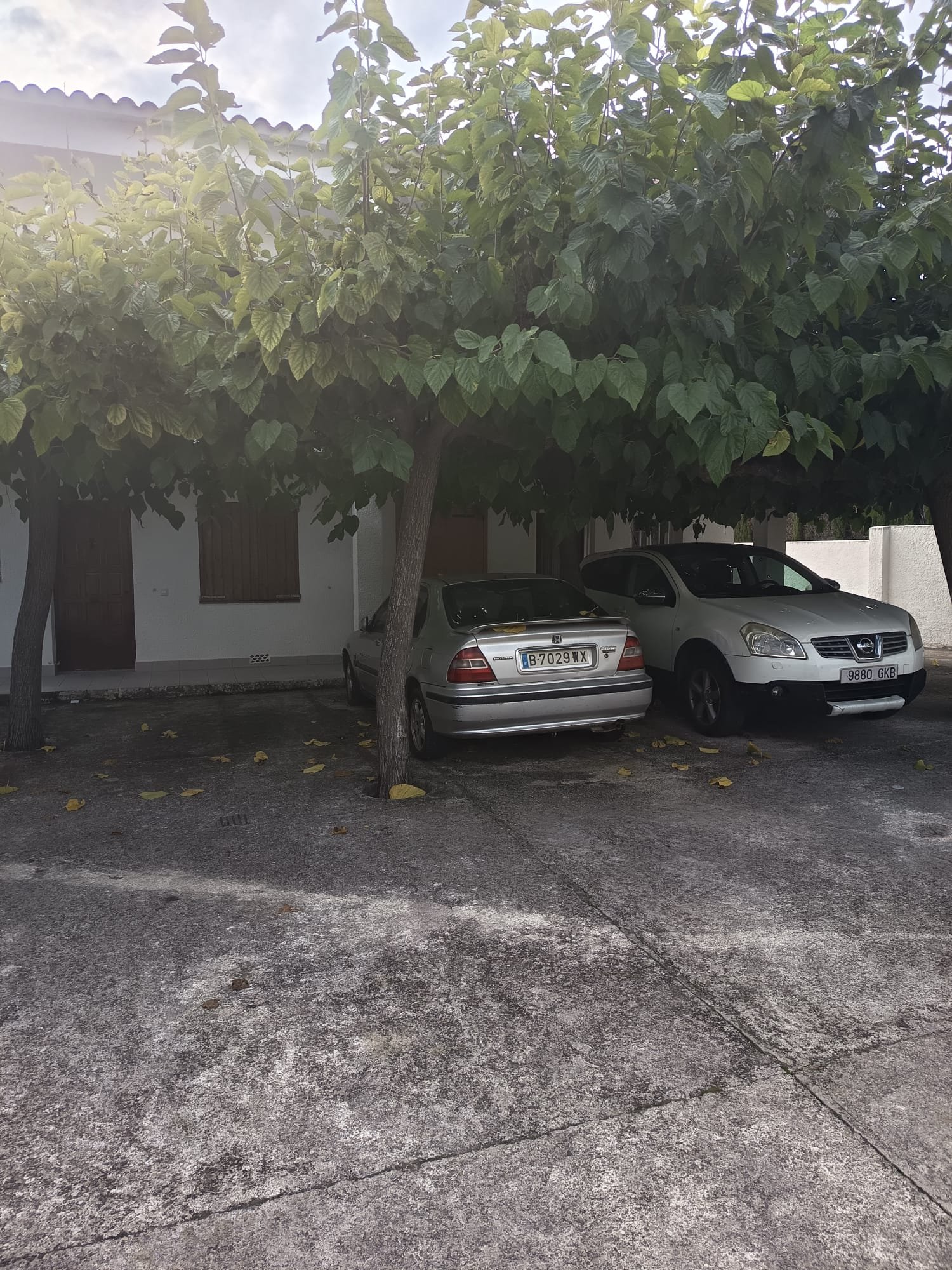 Ref. 1008 Planta baja en Comarruga centro.